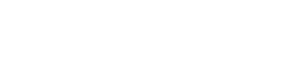 ДПО Аудит
